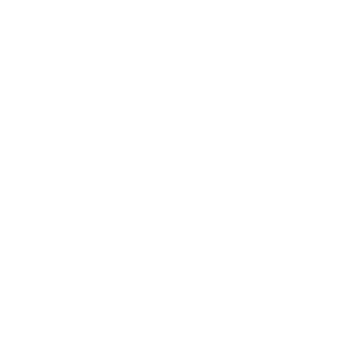 FG logo